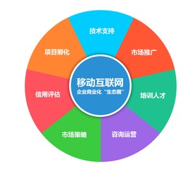 網(wǎng)絡(luò)技術(shù)驅(qū)動下的App開發(fā) 機遇與挑戰(zhàn)并存