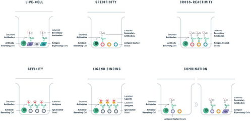 AI驅動制藥 網絡技術賦能新藥研發的典范模式