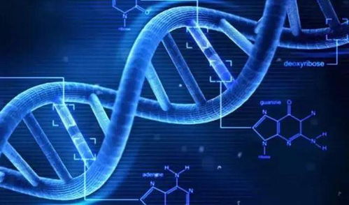 共筑藍海，智創未來 小天使控股集團以網絡技術賦能大健康產業創新